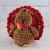 Toby the Crochet Turkey